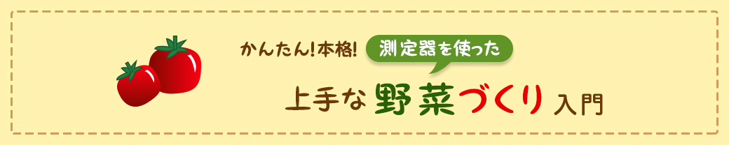 かんたん！本格！測定器を使った上手な野菜づくり入門