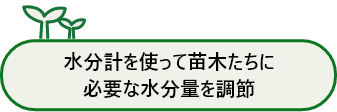 水分計を使って苗木たちに必要な水分量を調節