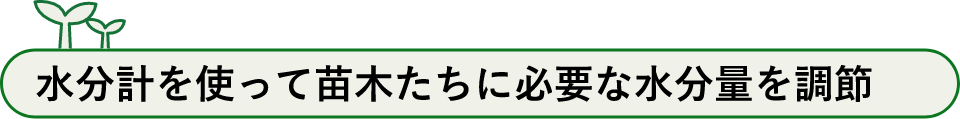 水分計を使って苗木たちに必要な水分量を調節