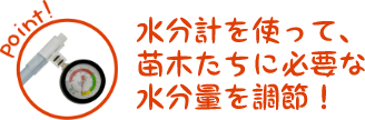 Point 水分計を使って、苗木たちに必要な水分量を調節！